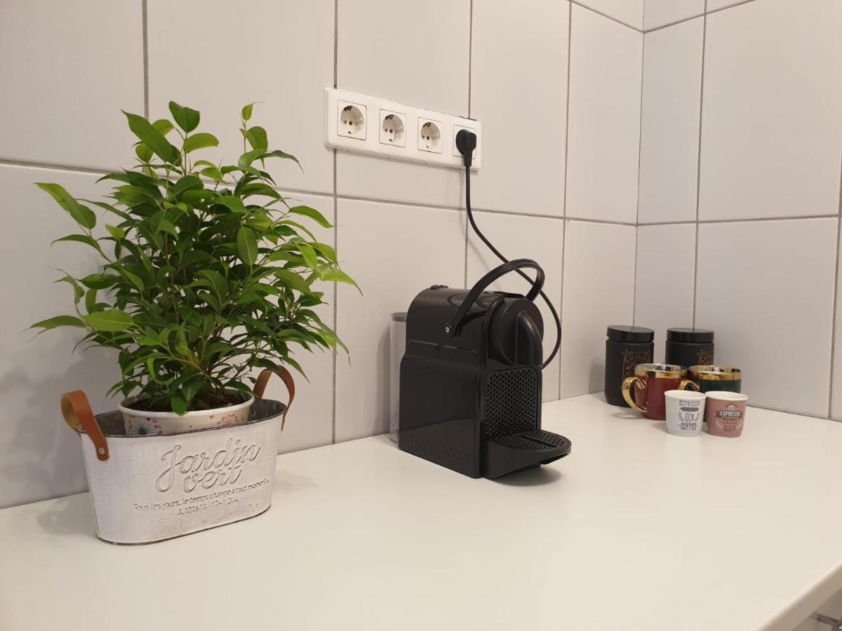 Appartement Maria à Timişoara Extérieur photo